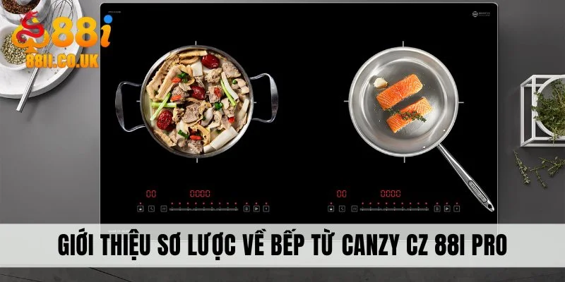 Giới thiệu sơ lược về bếp từ Canzy CZ 88I Pro